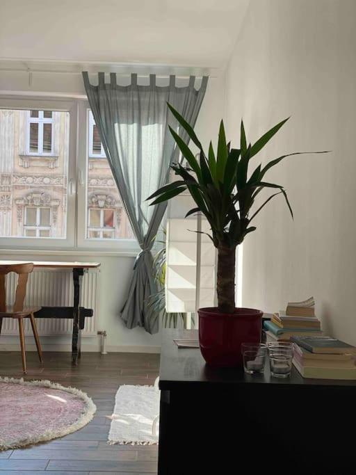 Apartament Dream Of Belvedere Wiedeń